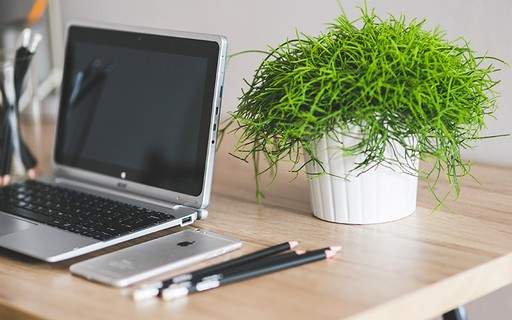 Notebook aberto em uma mesa de madeira com uma planta ao lado