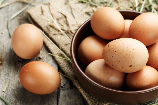 As 13 melhores distribuidora de ovos, veja agora!