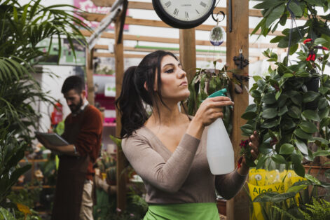 Empreendedorismo criativo com aromatização eventos
